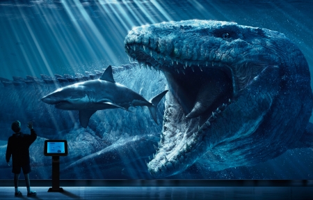 暗网禁区在线下载平台展示图2